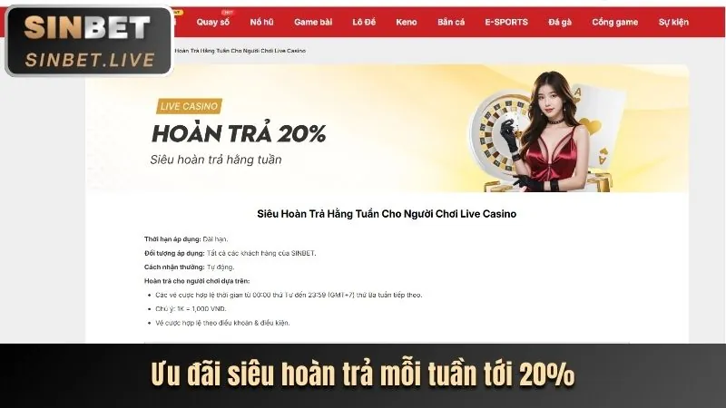 Người chơi đang xem tỷ lệ cược trực tiếp trên yoo88 casino
